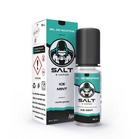 E-liquide Ice Mint Salt E-Vapor
