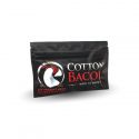 Coton Bacon V2