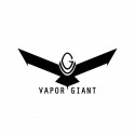 Résistances Vapor Giant Go et Go 2 (par 5)