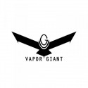 Résistances Vapor Giant Go 3 (par 5)